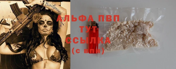 индика Осташков