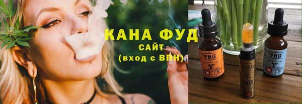 индика Осташков