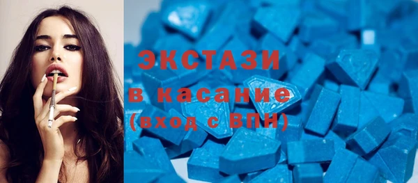 индика Осташков