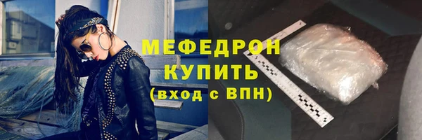индика Осташков