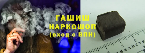 индика Осташков