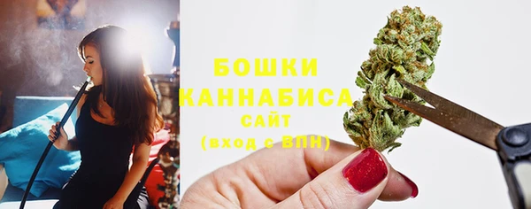 индика Осташков