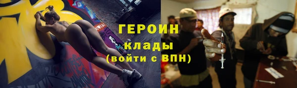 индика Осташков