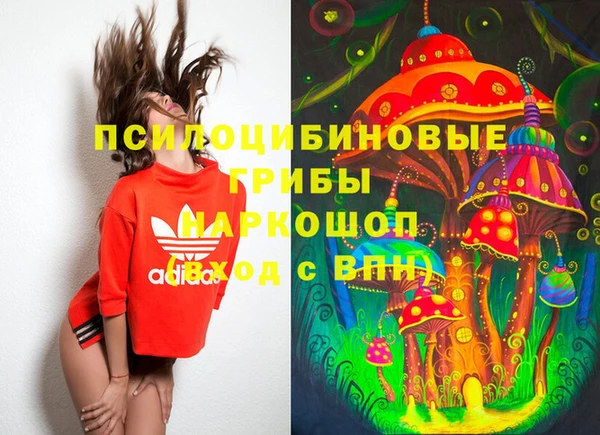 индика Осташков
