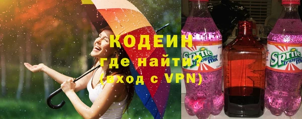 индика Осташков