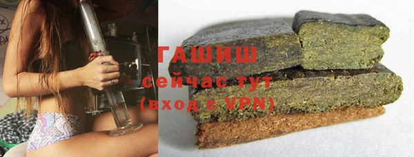 индика Осташков