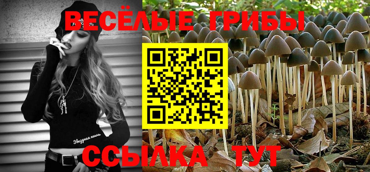 Псилоцибиновые грибы прущие грибы Сатка