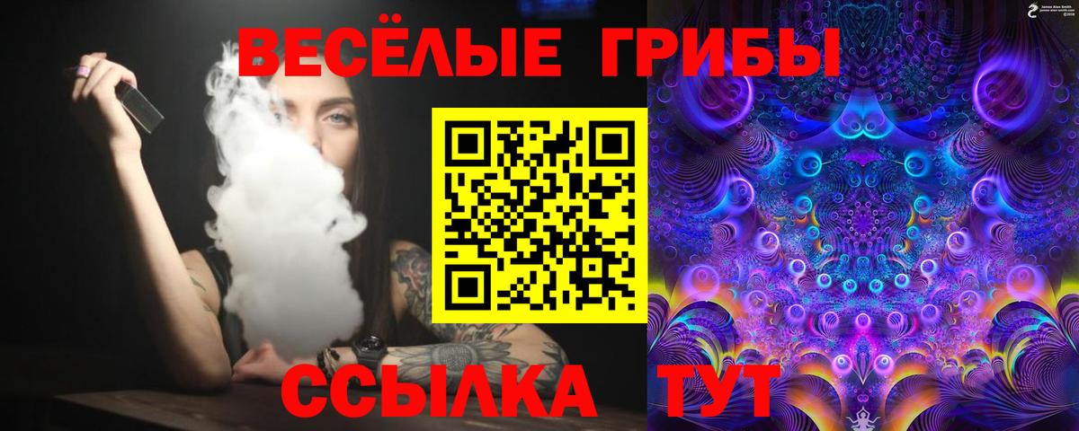 Галлюциногенные грибы Psilocybe  наркошоп  Галлюциногенные грибы GOLDEN TEACHER  Сатка  Вход с VPN 